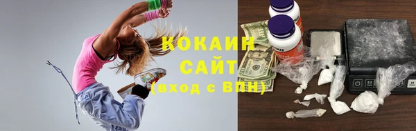 твердый Бородино