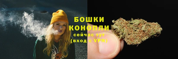 spice Бронницы