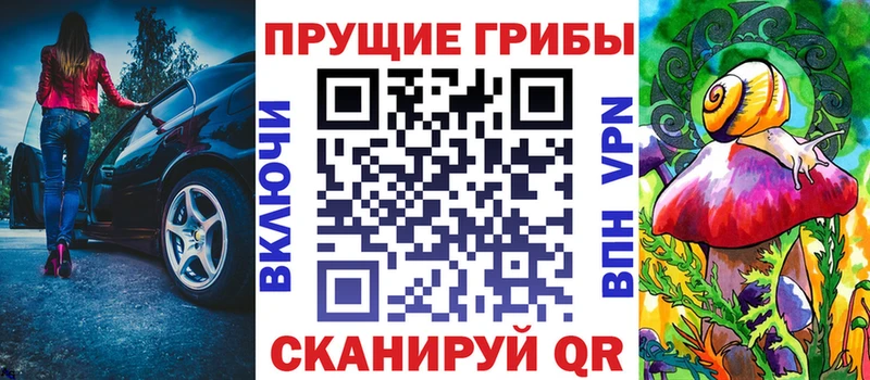 купить закладку  Вязники  Псилоцибиновые грибы GOLDEN TEACHER 